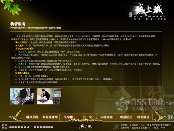 �F�ݽ�����ϳǶ�ý�wɳ�P-nsstar