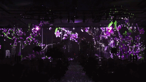 40��N���}|�Ώ�(f��)ʢ�Yӛ�Ƶ�5DȫϢ����d